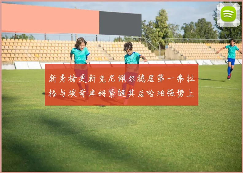 新秀榜更新克尼佩尔稳居第一弗拉格与埃奇库姆紧随其后哈珀强势上升至第四位