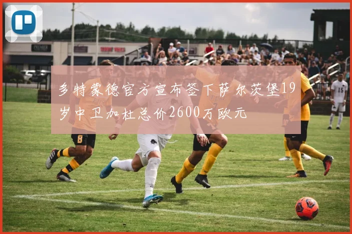 多特蒙德官方宣布签下萨尔茨堡19岁中卫加杜总价2600万欧元